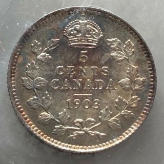 1903 Canada Silver 5 Cents Coin Iccs Graded Au - 55 Trends At $205