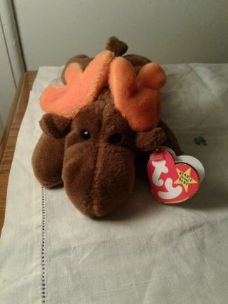 Ty Beanie Baby Chocolate The Moose Pvc Pellets