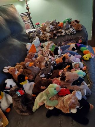 A Bundle Of Collectors Beanie Babies With Their Tags All In Shape