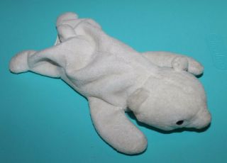 Ty Beanie Baby Chilly the Polar Bear Retired Classic Babies Plush 2
