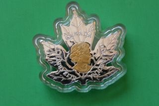 Canada 20$ 2017 Maple Leaf Form Coin 99,  99 Silver.  Only 109.  95$