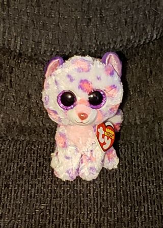 Ty Beanie Boos Serena Leopard (6 ") Justice Stores Exclusive Nrmwnonmt