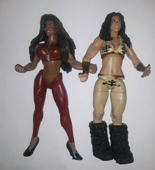 2 Wwe Female Wrestlers 1998 And 2010 Action Figures