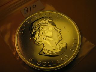 2011 Canada Wildlife Polar Bear 1 OZ Silver $5 Coin Grade ID B10. 2