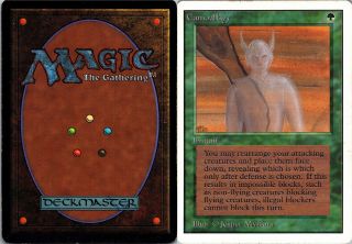 Camouflage 1x (unlimited Edition).  Mtg.  Magic The Gathering.