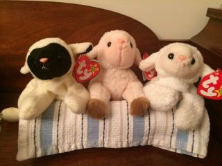 Ty Beanie Babies - 3 Lambs,  Ewey,  Fleece & Chops