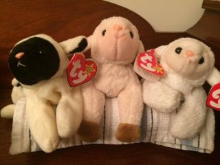 TY beanie babies - 3 Lambs,  Ewey,  Fleece & Chops 2