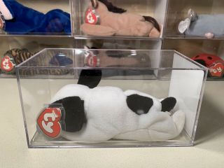 Authenticated Ty Beanie Baby Spot With Spot 3rd Ht 2nd Tt Mwmt - Mq