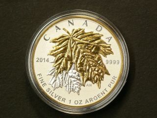 2014 Maple Leaf Gold Plated 1 Oz $5 Silver 99.  99 397