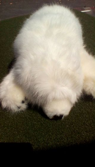 Polar Bear Stuffed Toy Hug Rug Bearskin 26 " Plush Ditz Weighted Beanie Therapy