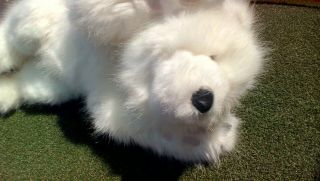 Polar Bear Stuffed Toy Hug Rug Bearskin 26 