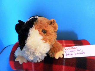 Ty Classic Patches The Guinea Pig 2009 Plush (310 - 2282 - 1)