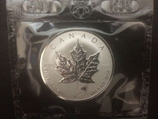 2004 Canada $5 1oz Sagittarius Privy Mark Silver Maple Leaf Coin Zodiac Series