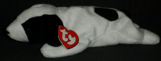Ty Spot The Dog Beanie Baby With 3rd Gen Hang Tag And 1st Gen Tush Tag
