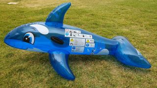 Inflatable Blue Translucent Whale Rescued And Repaired From Popping