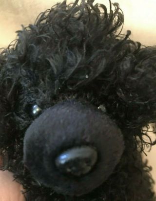 Ty Beanie With Tag Black Poodle Curly Hair Smudges 8/4/04 Shape