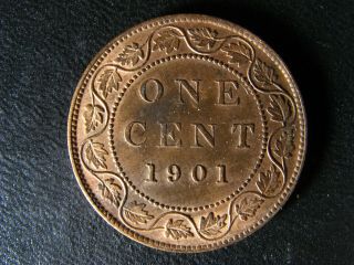 1 Cent 1901 Canada Large One Copper Penny Coin Queen Victoria C ¢ Ms - 62