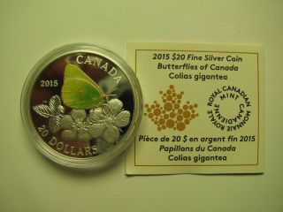 2015 Proof $20 Butterflies Of Canada 3 - Colias Gigantea Coin&coa Only.  9999 Silv