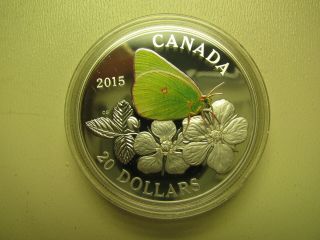 2015 Proof $20 Butterflies of Canada 3 - Colias Gigantea COIN&COA ONLY.  9999 silv 2