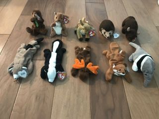 Ty Beanie Babies Set Of 10 North American Animals Retired