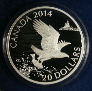 2014 $20 Canada Silver Coin - Bald Eagle