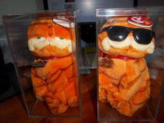 2 Garfield The Cat Beanies W/cases