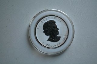 2010 1 Oz Silver $5 Canadian Maple Leaf Coin