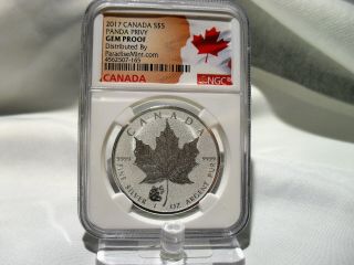 2017 1 Oz Silver Canada Maple Leaf Reverse Proof $5 Coin Panda Privy Gem Ngc