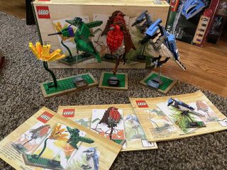 Lego Ideas Birds (21301) - Retired.  Complete And Instructions