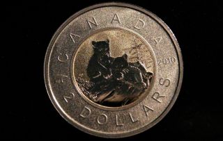 2010 Canada Specimen Young Lynx Special $2 Coin