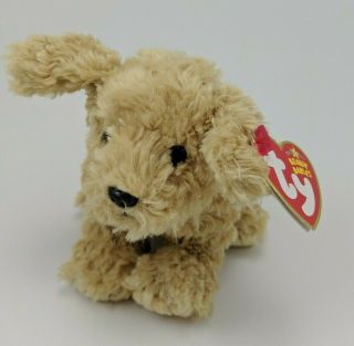 Ty Beanie Babies Dooley.  Tush Tag And Swing Tag On.
