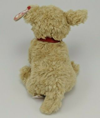 Ty Beanie Babies Dooley.  Tush tag and swing tag on. 3