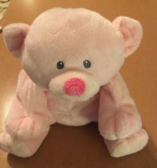 Ty Pluffies Woods The Pink Bear Plush From 2010 8 "