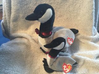 Set Of 2,  " Loosy " The Canadian Goose Ty Beanie Buddy & Beanie Baby
