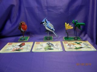 Lego Ideas Birds (21301) Robin ^ Hummingbird ^ Blue Jay With Instructions