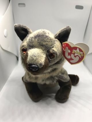 Howl The Wolf Ty Beanie Baby 2000 Retired And Rare Mwmt