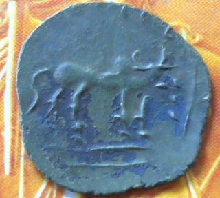 Ancient India - Satavahana / Banavasi - Elephant / Bull - Potin Metal Coin - Ai22