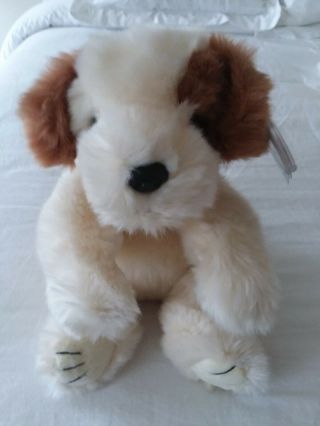 Ty Classic Baby Patches Cream Brown Puppy Dog 13 " W/tags