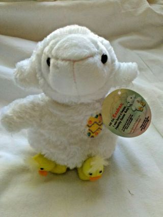 Plush Lamb W/duck Shoes March Of Dimes Bean Bags For Babies