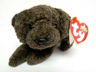 Ty Beanie Baby - Rare " Fetcher " Chocolate Labrador Pristine W/mint Tags