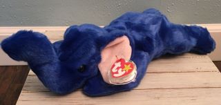 1998 Ty Beanie Buddy Royal Blue Peanut Elephant Tag Errors Tag Protector