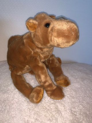 Ty Beanie Buddies Humphrey The Camel Retired 1998 Very Rare Collectible