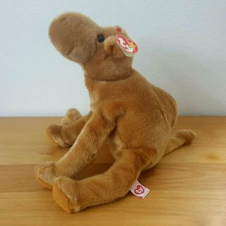 Humphrey The Camel Ty Beanie Baby Retired With Tag 1998 Read