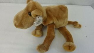 1998 Ty Beanie Buddy - Humphrey The Camel With Tags
