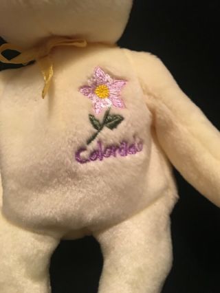 TY COLORADO COLUMBINE STATE FLOWER BEANIE BABY - EXCLUSIVE with TAG 2