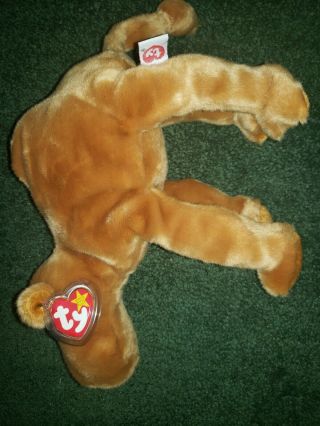 Humphrey The Camel Ty Beanie Baby Retired With Tag 1998