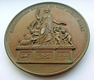 1876 Agricultural Society Of South Wales Bronze Medal - Awarded To G.  King