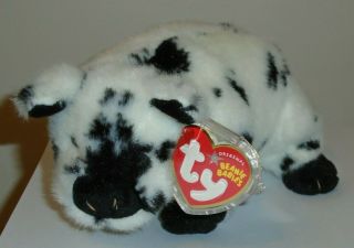 Ty Beanie Baby Stubby The Pig (6 Inch) Mwmt