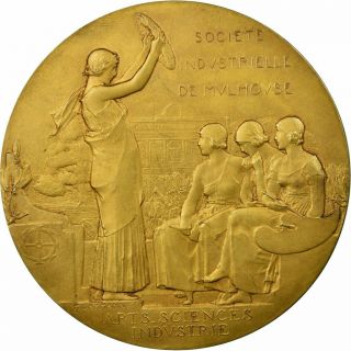 [ 713175] France,  Medal,  Société Industrielle De Mulhouse,  Dammann,  Au (55 - 58)