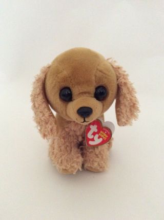 Ty Beanie Baby Brown Sadie The Puppy Dog 6 " Small Plush